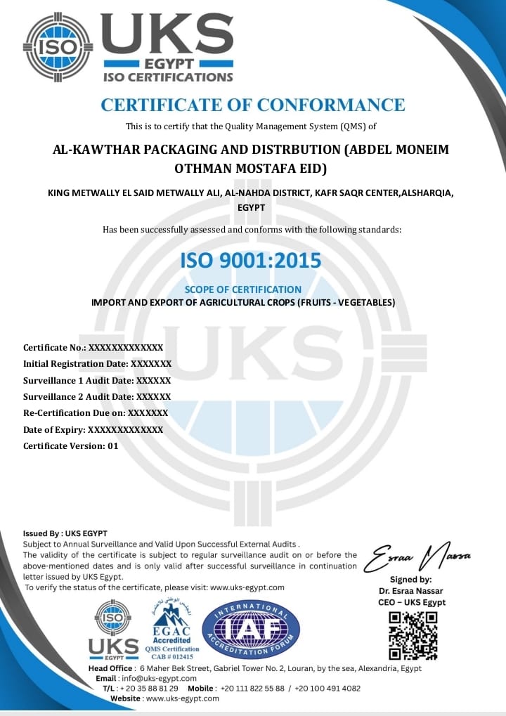 ISO 9001:2015