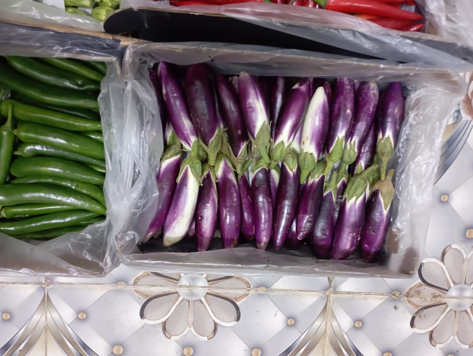 Purple Eggplant