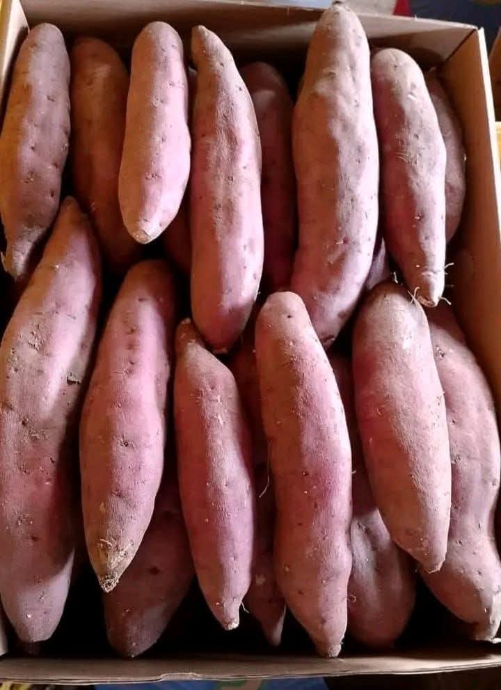 Sweet Potato
