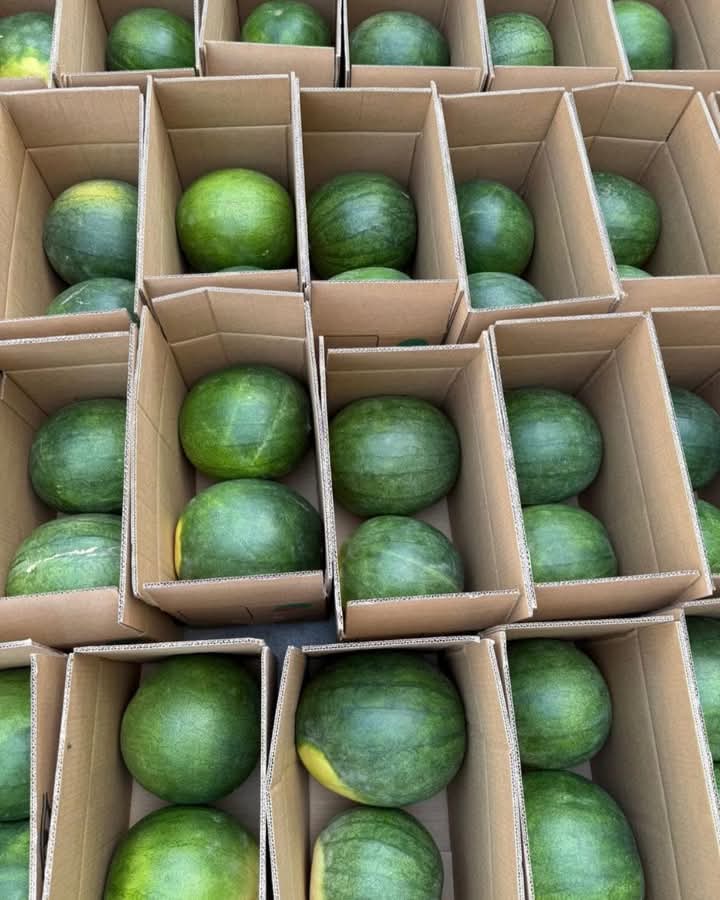Watermelon
