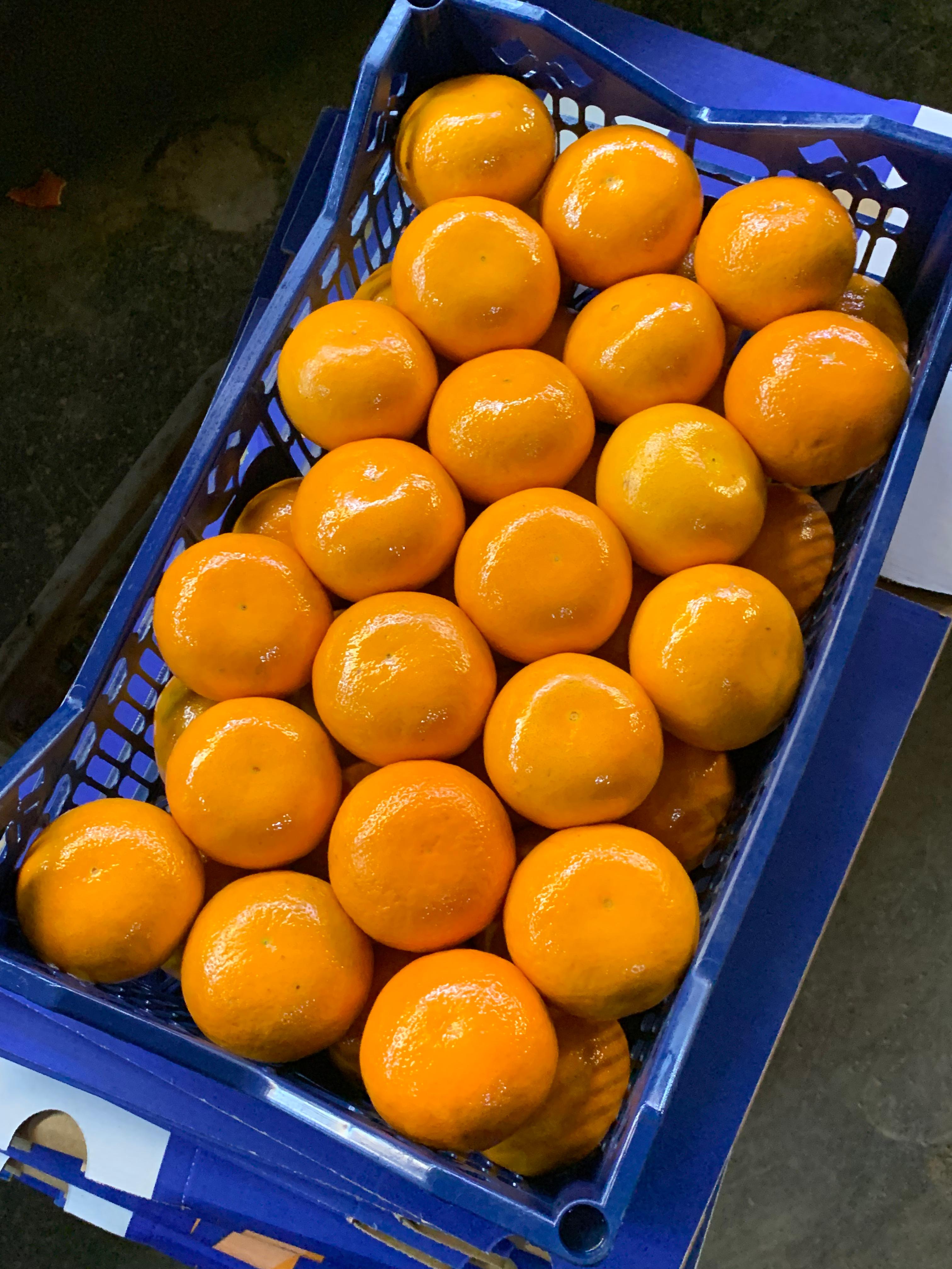 Mandarin